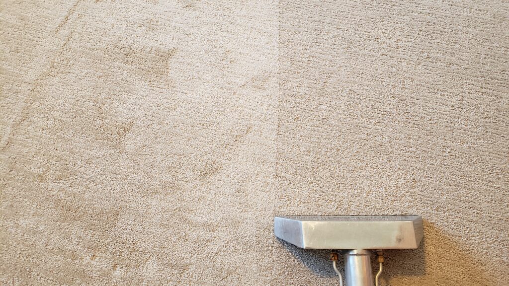 Carpet Cleaning